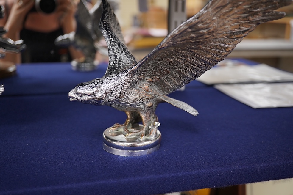 Two chrome car mascots, one in the form of an eagle stamped Finnigans London, wingspan 26cm, and the other of a classical child writing, mounted on a substantial radiator cap and oak base. Condition - fair to good, some